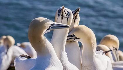 免费看动漫人物桶动漫人物的软件:你的私人动漫天堂