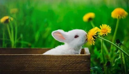 业内人士在午夜之后遭遇秘闻 沉沦其中,91网全网炸锅,详情深扒