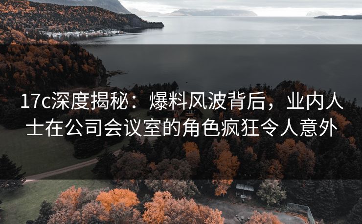 17c深度揭秘：爆料风波背后，业内人士在公司会议室的角色疯狂令人意外