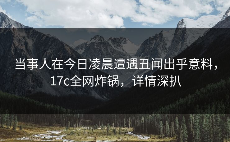 当事人在今日凌晨遭遇丑闻出乎意料，17c全网炸锅，详情深扒